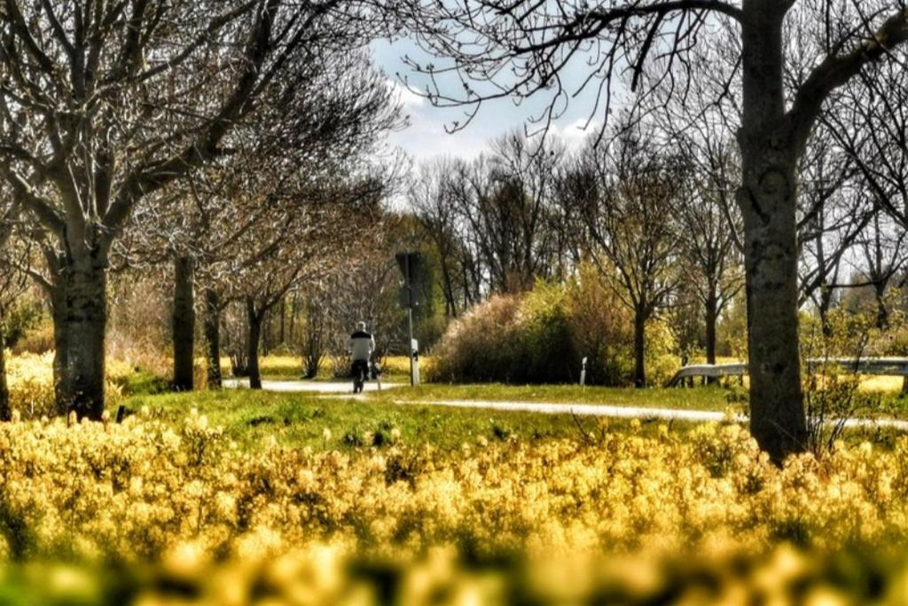 Apartmentvermittlung Mehr Als Meer - Objekt 11 Timmendorfer Strand Luaran gambar
